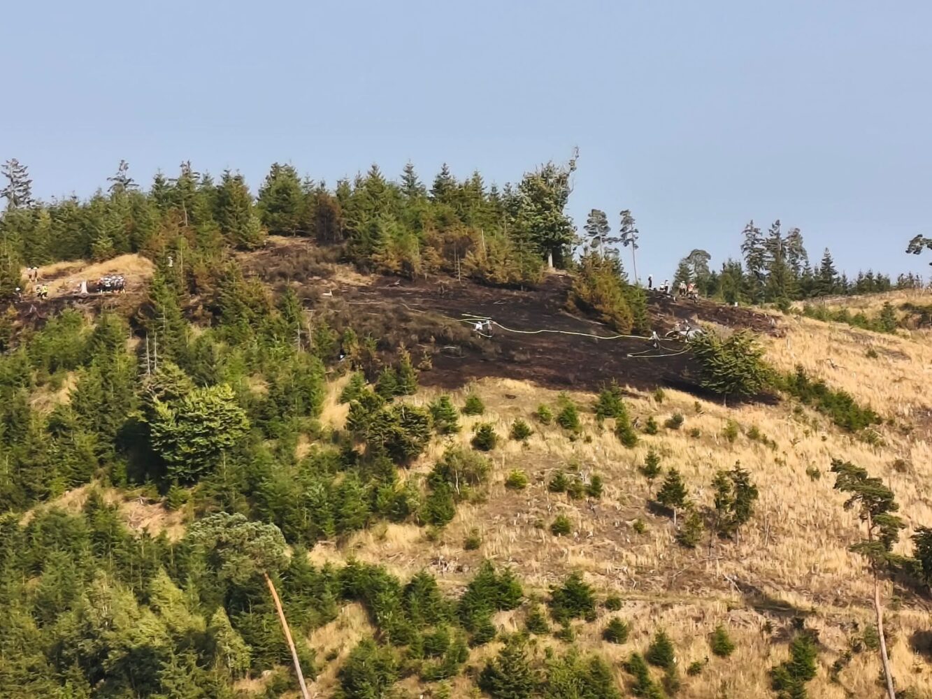 F4 Waldbrand, Flächenbrand