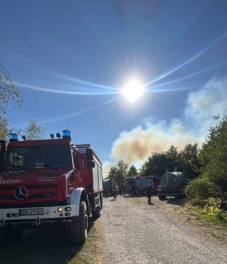 Wald / Flächenbrand